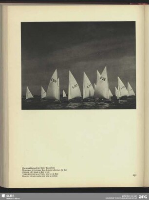 Olympiajollen auf der Kieler Innenförde
