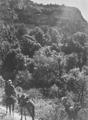 Karl Wien : Der Geograph Karl Wien (1906-1937) auf einem Reittier
