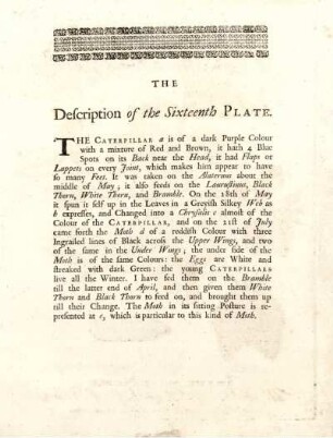 The Description of the Sixteenth Plate