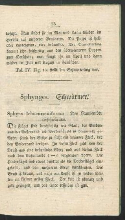 Sphynges. Schwaermer.