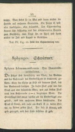 Sphynges. Schwaermer.