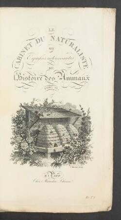Tafel: Le cabinet du naturaliste [...]