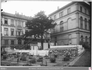 Ausgrabungsbeginn der Eibe, rechts Senckenbergische Bibliothek (angeschnitten) von Südwesten
