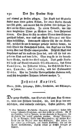 Zehntes Kapitel - Meere, Flüsse, Fahrzeuge; Fische, Conchylien und Schlangen in Indien