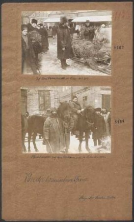Pferdehändler auf dem Wochenmarkt in Lida