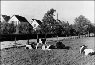Havelse, Lönsweg (jetzt: Görlitzer Straße)