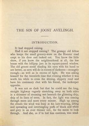The sin of Joost Avelingh : a Dutch story