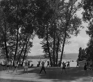 Archivfotografie "bodensee_radolfszell_19365ae"
