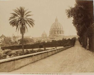 Blick aus den Gärten des Vatikans auf die Kuppel des Petersdomes, Rom