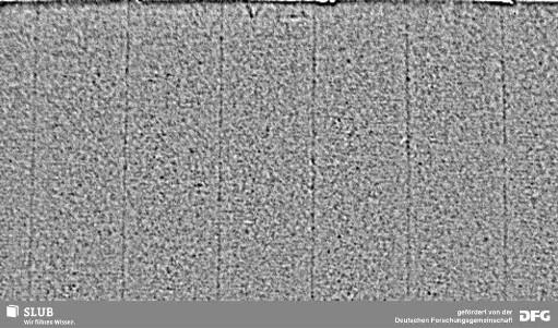 Wasserzeichen S.5_6