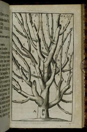 12. figure