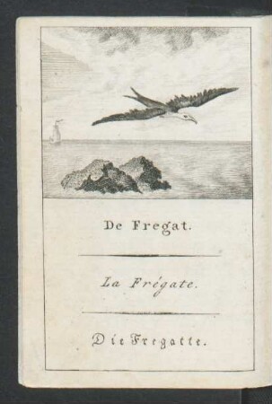 Tafel: De Fregat. La Frégate. Die Fregatte.