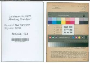 Entnazifizierung Paul Schmidt , geb. 29.06.1899 (Bankdirektor)