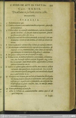 Cap. XXXIX. De actione in factum contra calumniatores