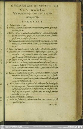 Cap. XXXIX. De actione in factum contra calumniatores