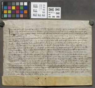 Marienborn: Kaufbrief des Viktorstifts zu Mainz über Güter zu Marienborn von Theoderich de Barba