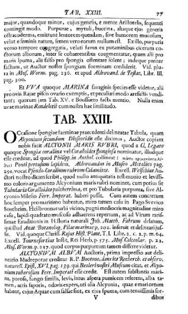 Tab. XXIII.