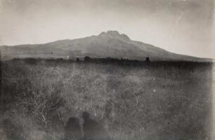 Landschaft mit Kilimandscharo : Die Landschaft in der Umgebung des Kilimandscharo. Im Hintergrund erhebt sich der Mawenzi