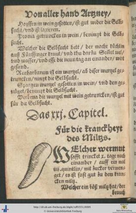 Kapitel xxj - xxx