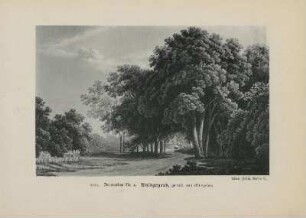1821. Decoration Nr. 4. Waldgegend, gemalt von Gropius