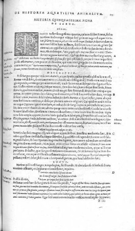 Historia Quinquagesima Nona. De Sargo