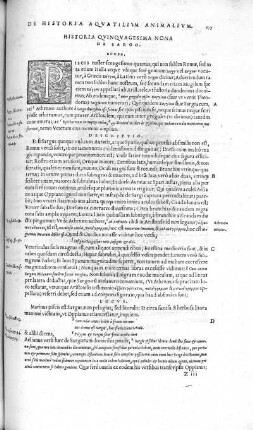 Historia Quinquagesima Nona. De Sargo
