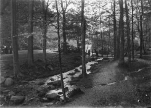 Harz. Ilsetal. Gebirgsbach Ilse. Ansicht mit Waldweg, hölzernem Steg und Spaziergängern