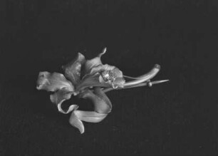 Brosche in Form einer Orchidee