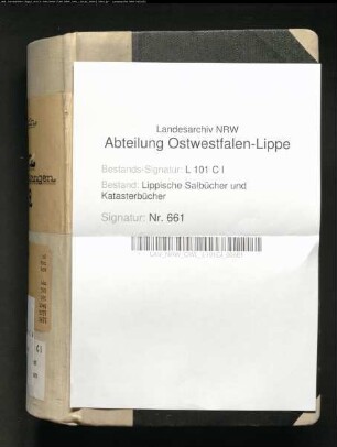 Salbuch des Amtes Horn von 1782 (Duplikat)