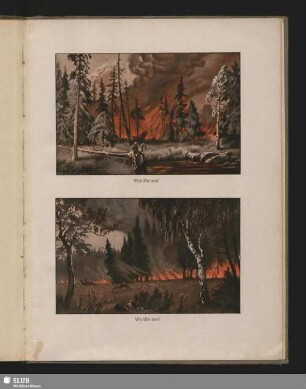 Waldbrand