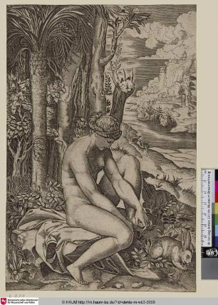 [Vénus blessée par l'epine d'un rosier; Die Dornauszieherin]