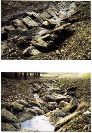 Naturgemäßer Bachbett-Verbau Seebach.