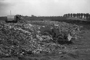 Stadtratsbeschluss zur Erweiterung und Begrünung der Mülldeponie im Gewann "Burgau" südlich von Knielingen