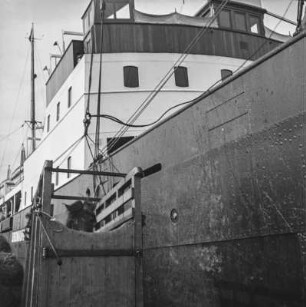 Islandpony am Hafen : Islandpony in einer Transportkiste am Hafen von Reykjavik beim Einschiffen auf das Schiff "Alexandrine"