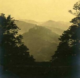 Blick auf die Klosterruine Limburg. Lasi