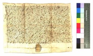 Erblehensbrief des Herdegen von Hürnheim zu Wöllstein gegen Jorg Hagk um ein Gut zu Wöllstein.
