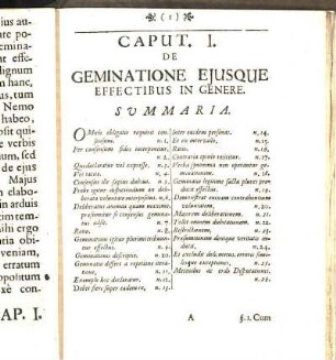 Caput. I. De Geminatione Ejusque Effectibus In Genere.