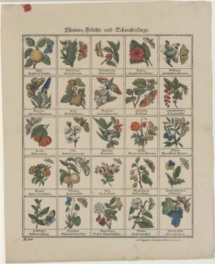 Blumen, Früchte und Schmetterlinge.
