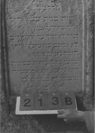 Grabstein 213 (Index: 100009130) Zustand: obere Hälfte und Rückseite abgebröckelt Maße HxBxT: 162x74x33 cm: Grabstein 213B