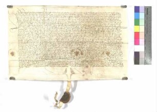 Lehenrevers Hans Mayrs wegen einer Sölde zu Donaustetten