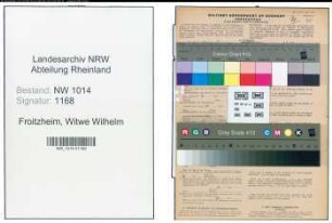 Entnazifizierung Witwe Wilhelm Froitzheim , geb. 25.09.1884 (Landwirtin)