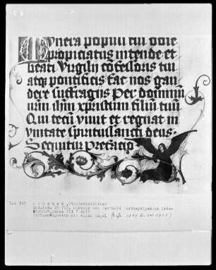 Fünfbändiges Missale von Berthold Furtmeyr — Fünfter Band — Schlußranke mit einem Engel, Folio 43verso