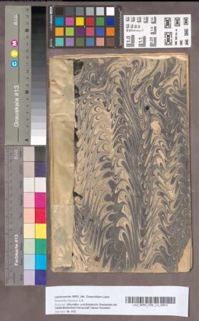 Beschrijving van de stukken, gevonden in het charter-torentje van Batestein in een zwarten koffer, waarop geschreven stond: "In dese koffer is alle de pampieren [so] van de souverainiteitte van Vianen". Beschrijving van stukken, waarmee de independentie van Vianen kon bewezen worden. Beschrijving van stukken betreffende het burggraafschap van Utrecht en de jurisdictie op de Lek. Beschrijving van de stukken, gevonden op het charter-torentje, 16 Juni 1726.