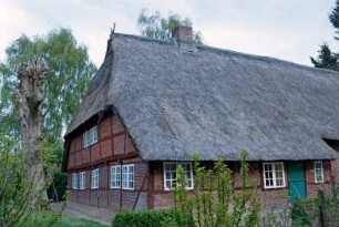 Hauptstraße 103: Fachhallenhaus mit Reetdach: Giebelseite Wohntrakt mit Vorkragung, Sprossenfenster, Giebelzier: Traufseite, Teilansicht Wohntrakt mit Tür: Bäume, Hecken: 9. Mai 2003