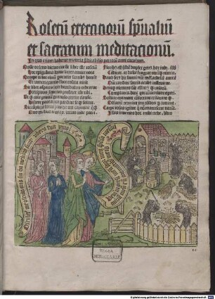 Rosetum exercitiorum spiritualium et sacrarum meditationum : mit Gedicht 'Nosse volens dictus ...' (Walther, Initia 12296)