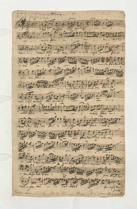 Spätere Tenorstimme (Arie)