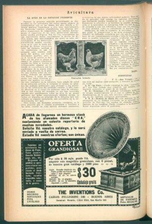 Avicultura : Las aves en la estación presente
