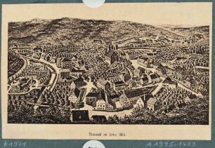 Blick auf Tharandt mit der Berg- und Stadtkirche