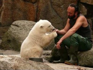 Berliner Zoo, der kleine Eisbär Knut und Pfleger Thomas Dörflein