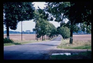 Fehrbellin 18.8.78.